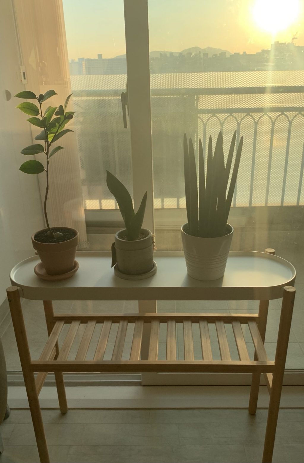 이케아 삿수마스 SATSUMAS 화분스탠드를 샀다.