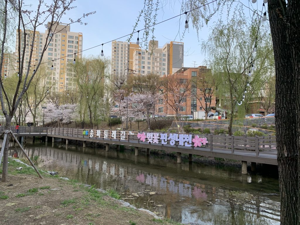 송파둘레길, 성내천에서 저녁 산책을 했다.