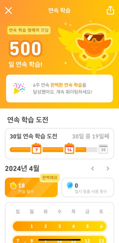 듀오링고 500일 연속 학습 달성 후기