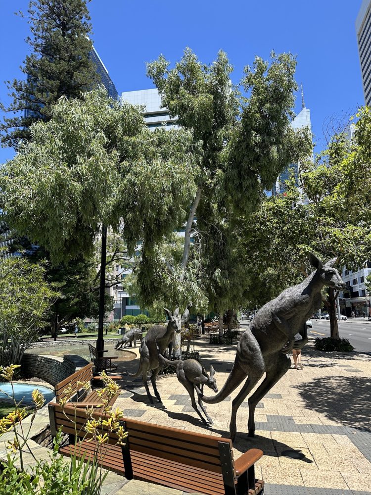 퍼스 서호주 캥거루 동상