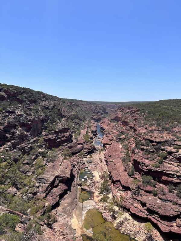 제트밴드전망대